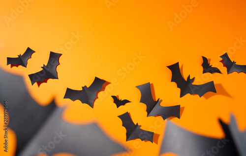 Halloween photo of black bats flying to sides on blank orange background.