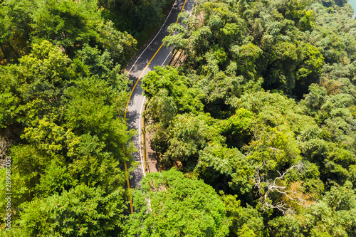 aerial view of road in forest at Sun Moon Lake