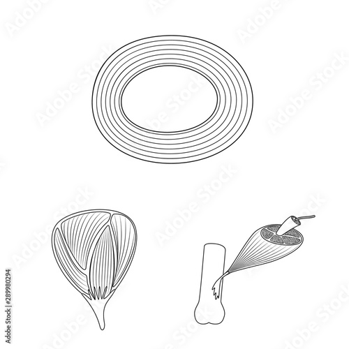 Vector design of fiber and muscular sign. Collection of fiber and body stock symbol for web.