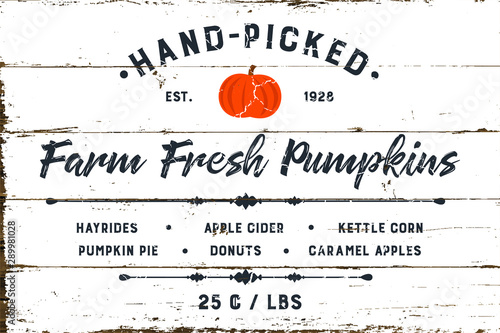 Farm Fresh Pumpkin Patch with Shiplap Design