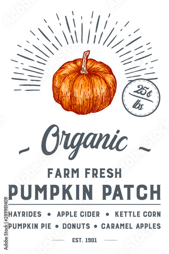 Farm Fresh Pumpkin Patch Design
