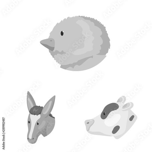Isolated object of countryside and homestead icon. Collection of countryside and breeding stock symbol for web.