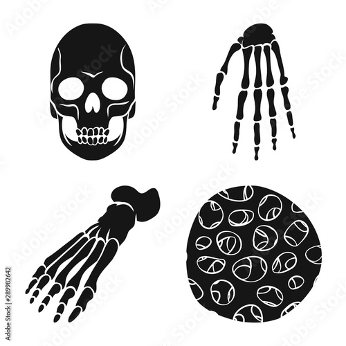 Isolated object of biology and medical icon. Set of biology and skeleton vector icon for stock.