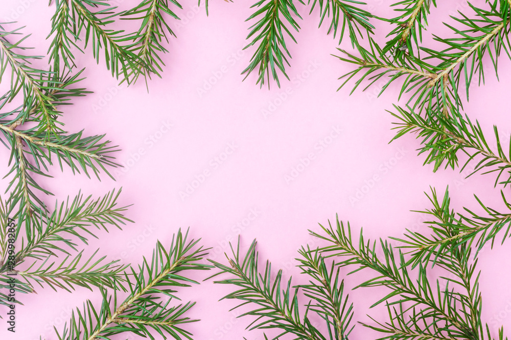 New Year, Christmas minimalistic concept: coniferous branches on a pastel pink background. Place for text, flat lay.