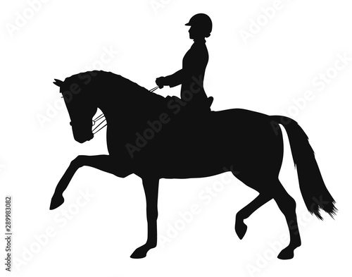 Equestrian sport, dressage, silhouette of a rider and horse