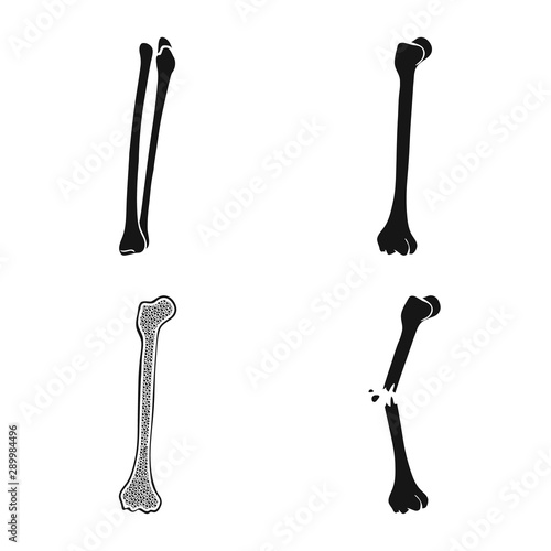 Isolated object of biology and medical logo. Set of biology and skeleton stock symbol for web.