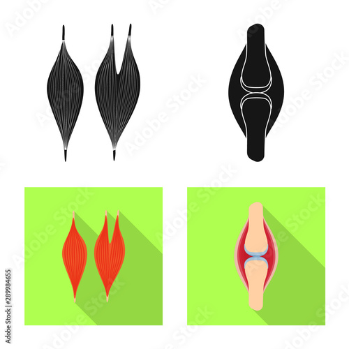Vector illustration of biology and scientific symbol. Collection of biology and laboratory stock vector illustration.