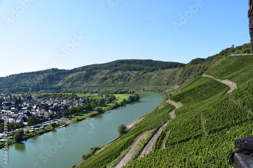 Blick über Pünderich an der Moselschleife photo