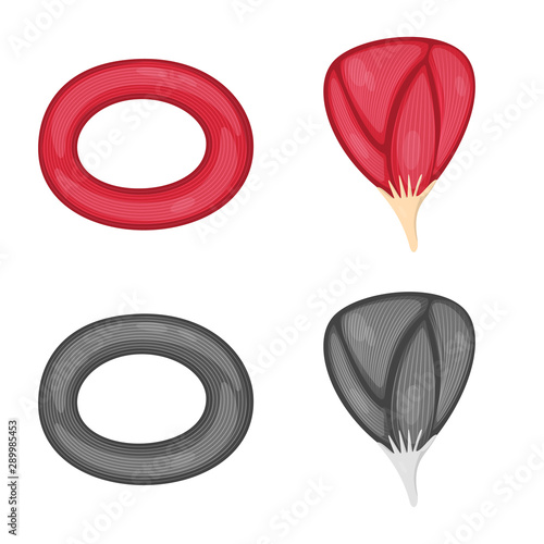 Vector illustration of fiber and muscular sign. Set of fiber and body vector icon for stock.
