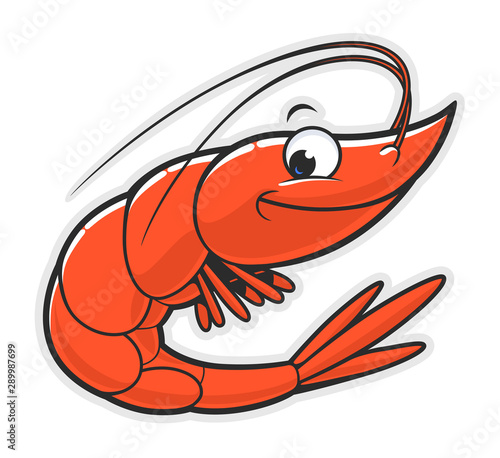 Funny shrimp photo