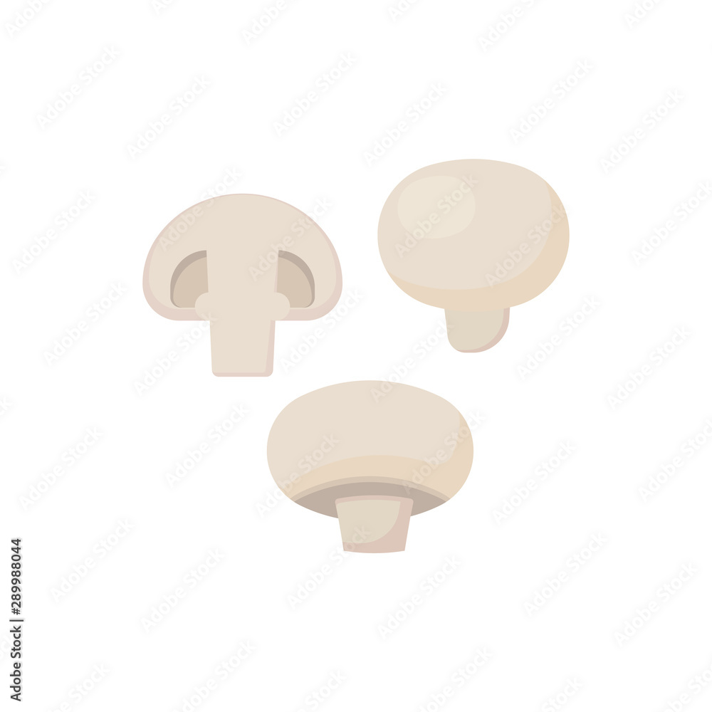 mushroom champignon isolated on white background. Vector illustration. mushroom champignon isolated on white background. Vector illustration.