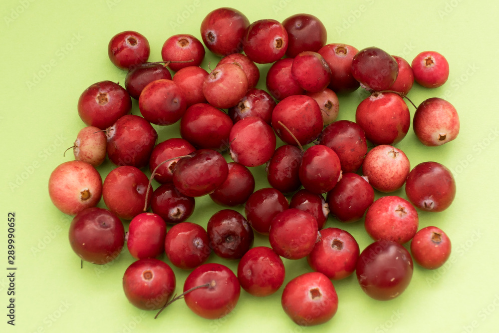Red berries of cranberry on green background. Macro. Isolated. Red berries of cranberry on green background. Macro. Isolated.