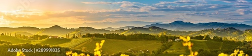 South styria vineyards landscape, near Gamlitz, Austria, Eckberg, Europe. Grape hills view from wine road in spring. Tourist destination, panorama photo