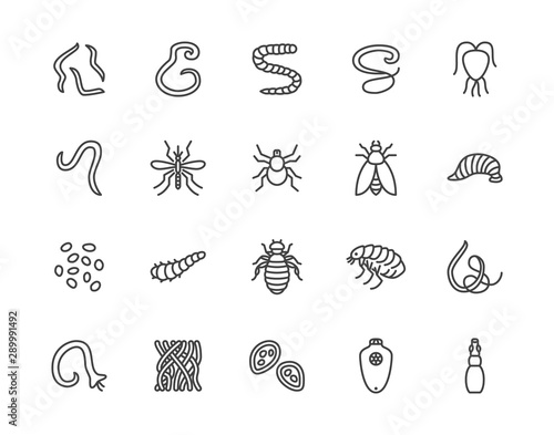 Parasites flat line icons set. Intestinal worm, helminth, sandfly, tick, dog flea, leech, qiardia, dengue mosquito illustrations. Outline signs for parasitology. Pixel perfect 64x64. Editable Strokes photo