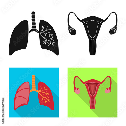 Vector illustration of biology and scientific icon. Collection of biology and laboratory vector icon for stock.
