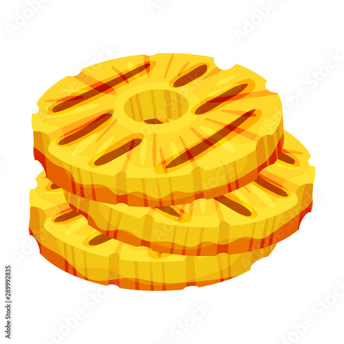 Round slices of peeled pineapple. Vector illustration on a white background.