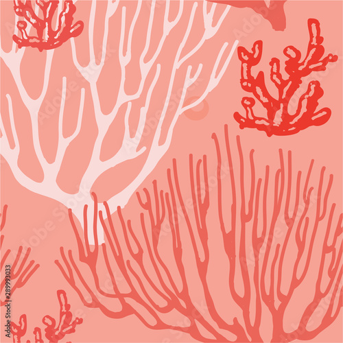 Coral seamless pattern. Living coral