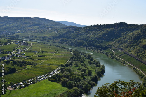 Moseltal bei Zell und Pünderich photo