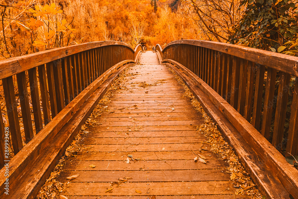 Obraz premium Wooden bridge in an autumn forest