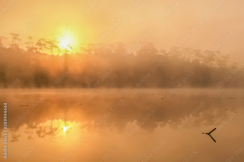 Naklejka premium Lake view misty morning with yellow sun light background, sunrise at Wat Chan Royal Project Development Centre, Kalayaniwattana, Chiang Mai, Thailand.