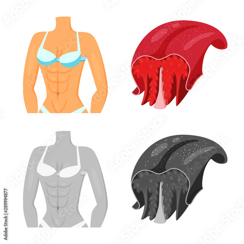Isolated object of fiber and muscular sign. Set of fiber and body stock vector illustration.