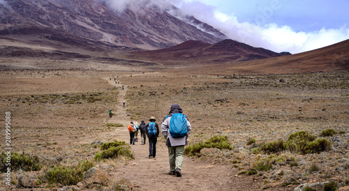 Group of Hikers Trekking Kilimanjaro Mountain, Kilimanjaro National Park, Tanzania