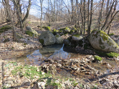Mountain creek in spring Bukovik Serbia