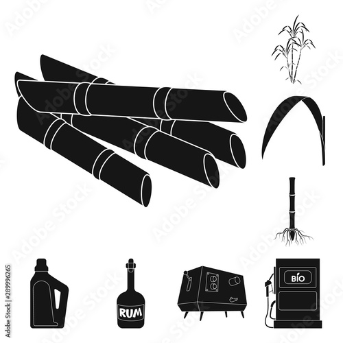 Isolated object of sucrose and technology logo. Set of sucrose and cane stock vector illustration.