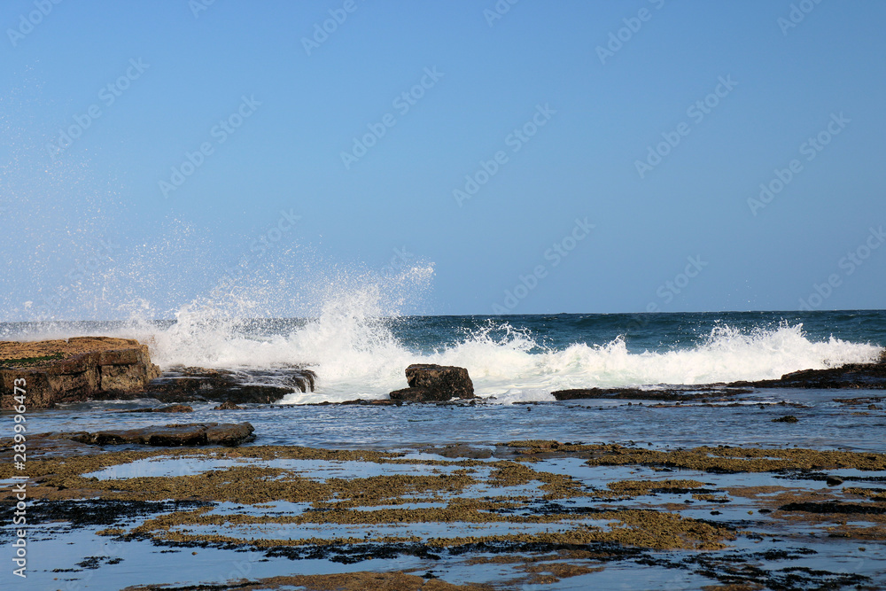 Waves and Spray on the Rock Platform Susan Gilmore Beach Newcastle Australia