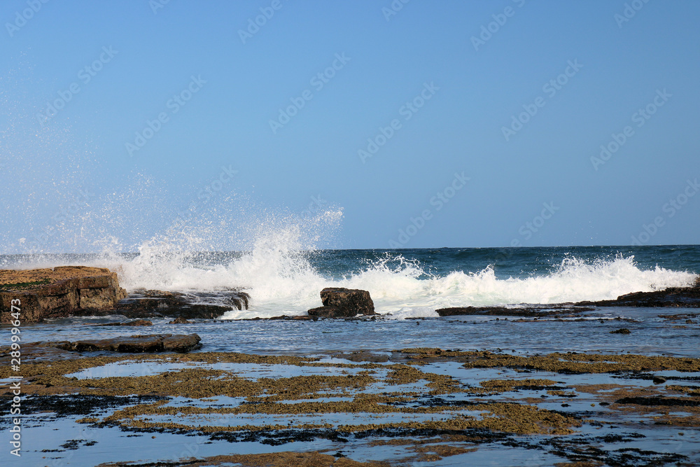 Waves and Spray on the Rock Platform Susan Gilmore Beach Newcastle Australia Waves and Spray on the Rock Platform Susan Gilmore Beach Newcastle Australia