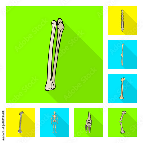 Vector illustration of bone and skeleton icon. Collection of bone and human vector icon for stock.