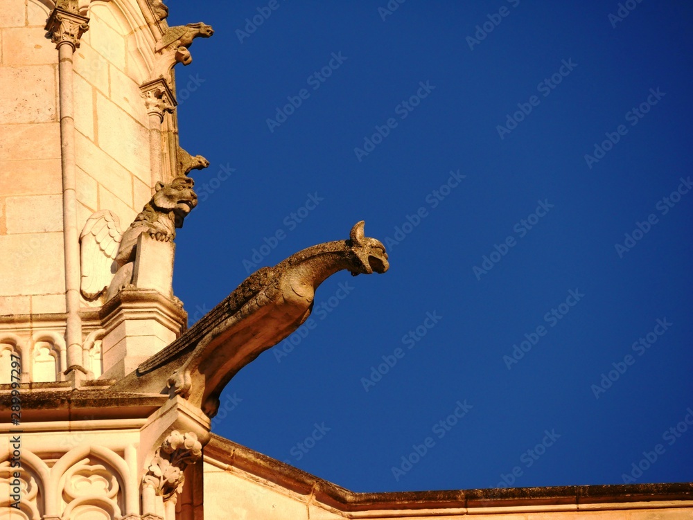 Fototapeta premium Gargouilles de la cathedrale romaine Saint Pierre de Poitiers. Vienne
