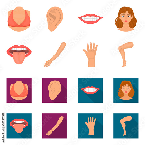 Vector illustration of body and part icon. Collection of body and anatomy stock vector illustration.