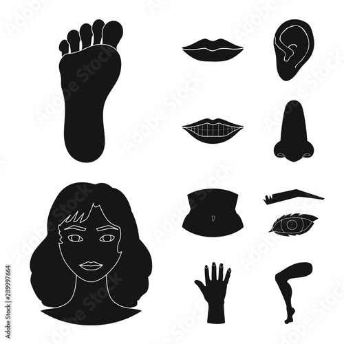Isolated object of body and part icon. Collection of body and anatomy vector icon for stock.