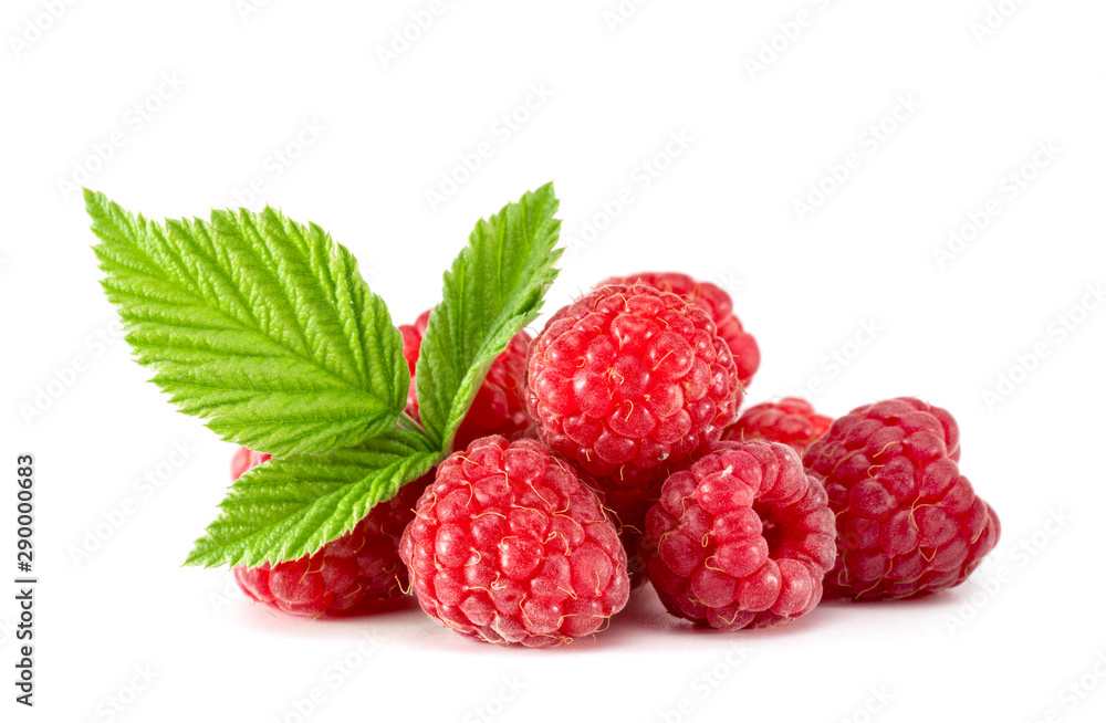 Raspberries on white background. Fresh raspberries on white background Raspberries on white background. Fresh raspberries on white background