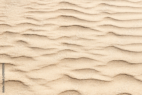 nature backround of smooth sand wave texture