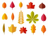 Fall leaves. Colorful autumn leaves, leaf chestnut elm oak, maple forest with yellow and orange foliage. Flat vector isolated set leaf and foliage, botany maple and oak, chestnut and elm illustration