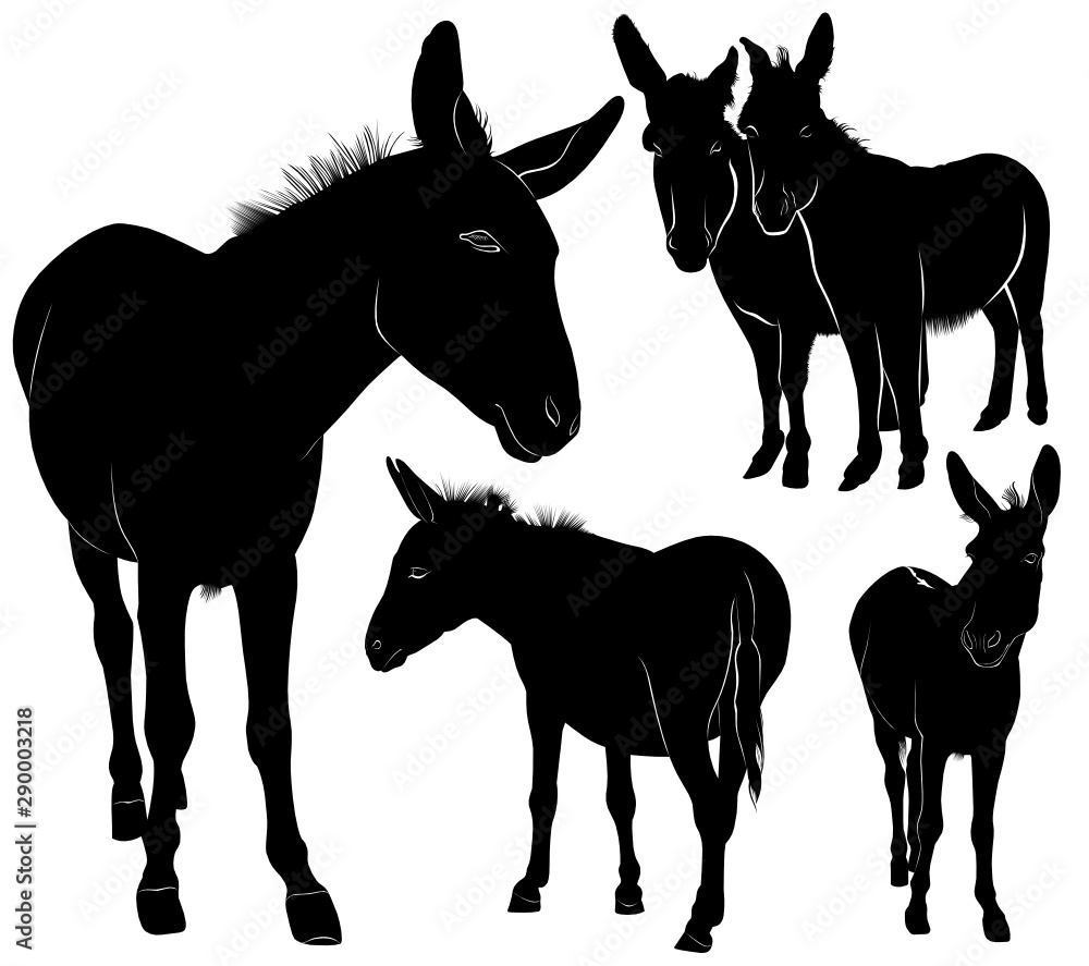set of donkeys silhouettes vector isolated on white background set of donkeys silhouettes vector isolated on white background