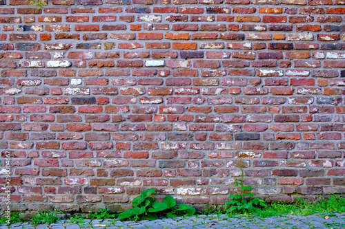 vintage natural brick wall with a lot of ancient patina and some green plants on the coblestone ground photo