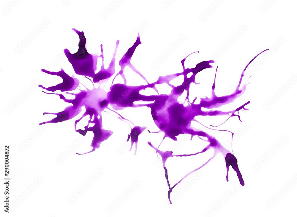 Fototapeta premium Purple paint splatter isolated on white background