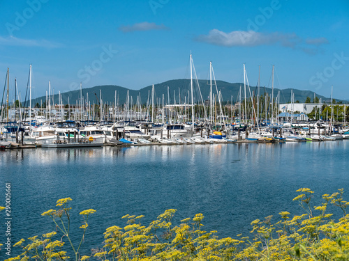 Cap Sante Marina from Cap Sante Park - Anacortes photo