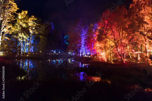 Illuminated woods in perth