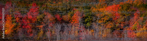 Mirror reflection of a bright autumn yellow orange forest in a quiet lake. Beautiful autumn view.