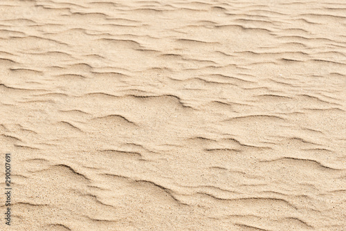 nature background of smooth sand wave texture