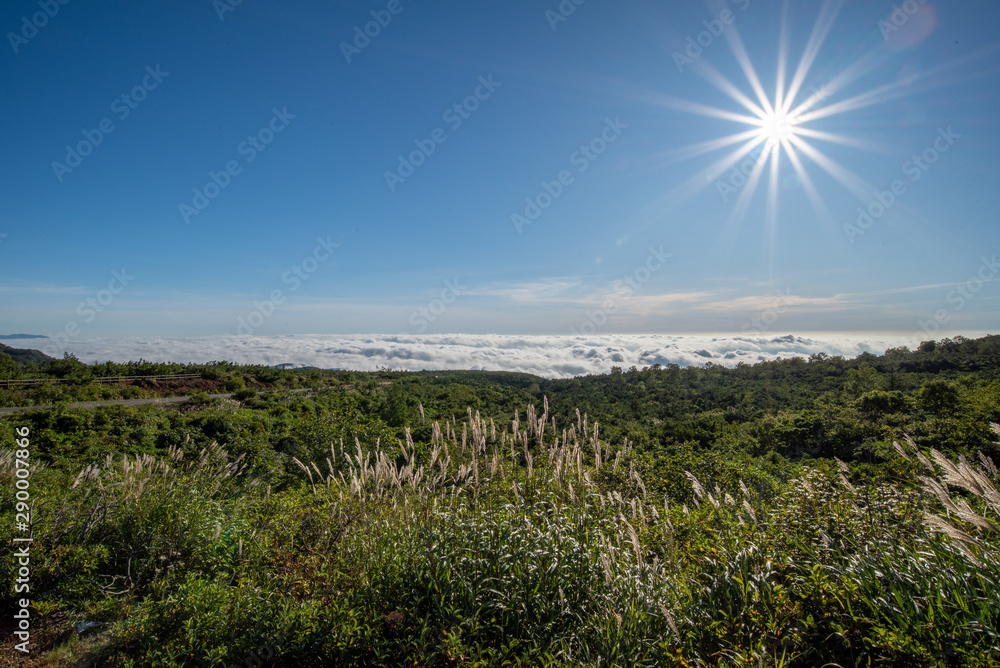 Obraz premium 屏風岳からみる雲海