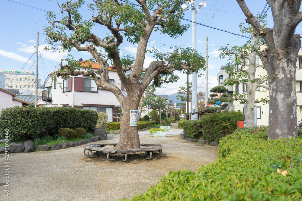 Obraz premium 冬の蛇松緑道