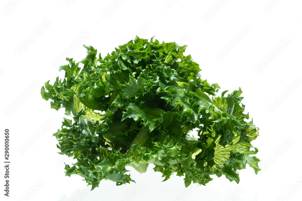 Frillice Iceberg Lettuce from hydroponic farm isolated on white background Frillice Iceberg Lettuce from hydroponic farm isolated on white background