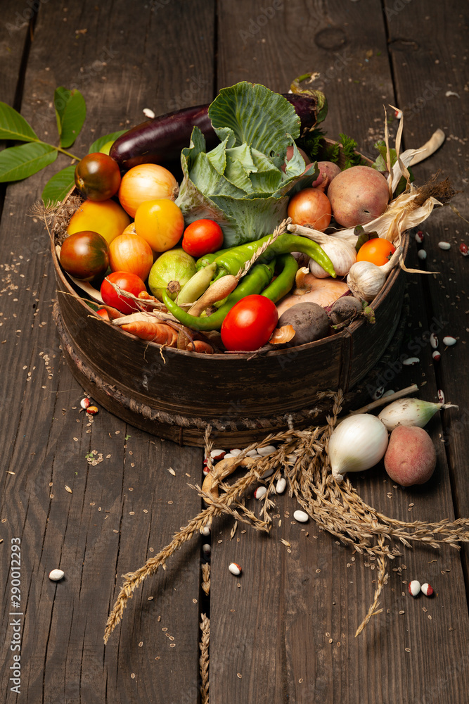 Fresh farm vegetables, organic healthy food. Agriculture harvest.
