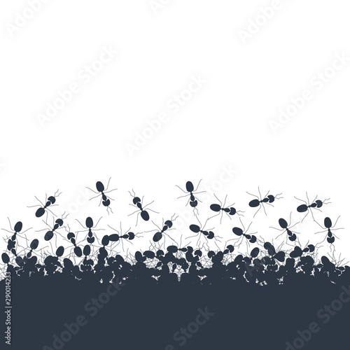 Silhouette of chaotic running ants on white background. Crawling insects colony backdrop poster. Teamwork and cooperation concept.  Vector cartoon illustration.