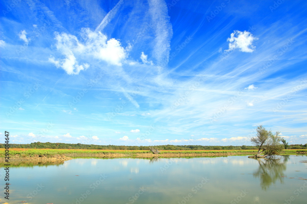 Beautiful blue sky with white clouds above lake in Nature park 